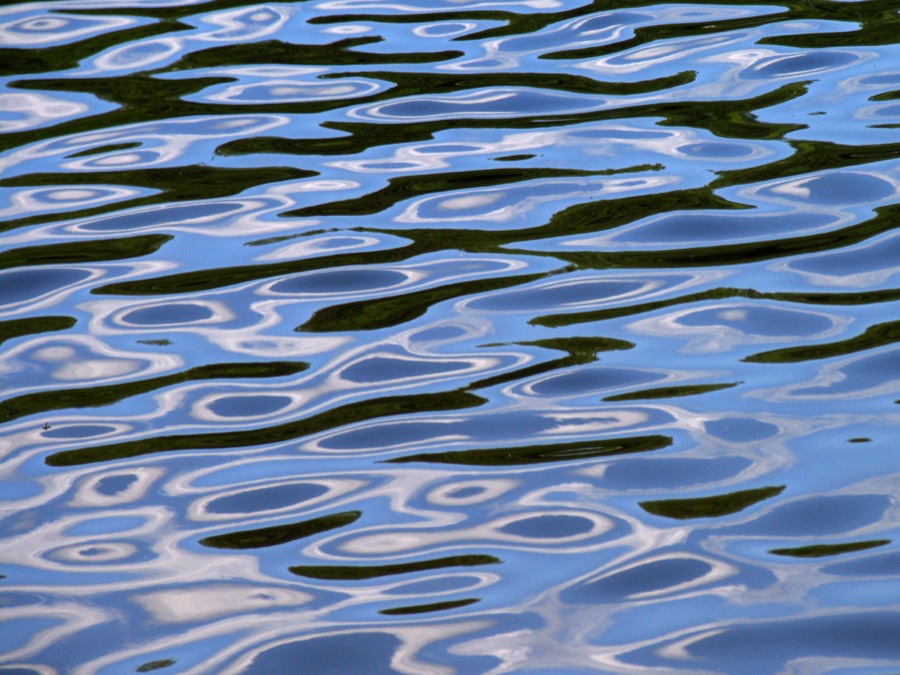 Water Reflections