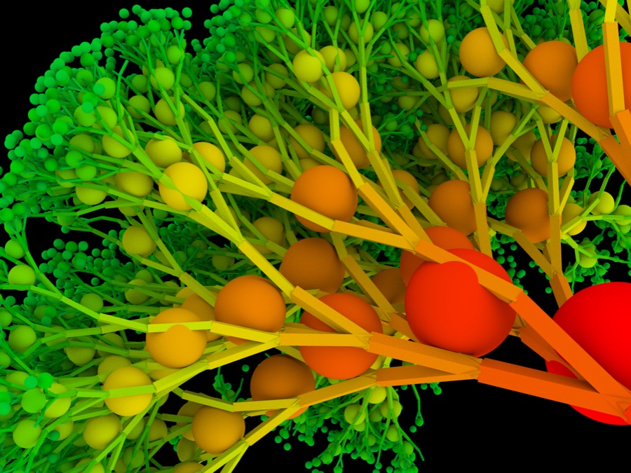 Branching